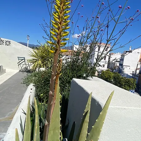 דירה Romantic Rooftop With Stunning Sea And Mountain Views מארבלה