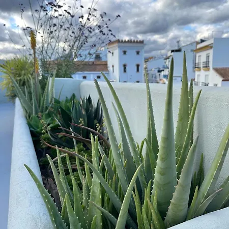 Romantic Rooftop With Stunning Sea And Mountain Views *