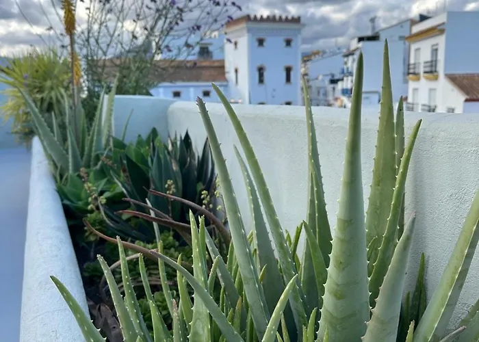 Romantic Rooftop With Stunning Sea And Mountain Views *