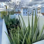 Romantic Rooftop With Stunning Sea And Mountain Views *